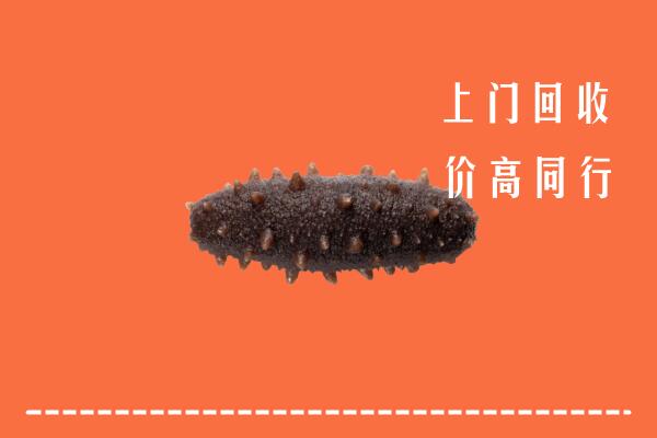 高价求购：中山港口镇回收海参